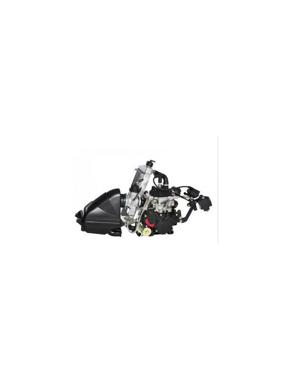 Moteur ROTAX MAX Evo