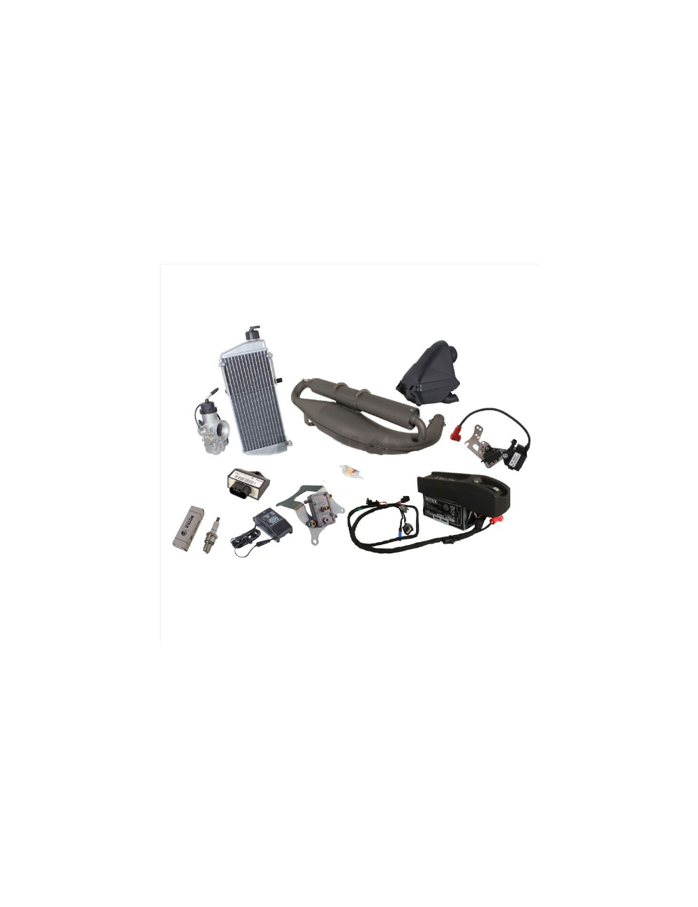 Moteur ROTAX MAX Evo